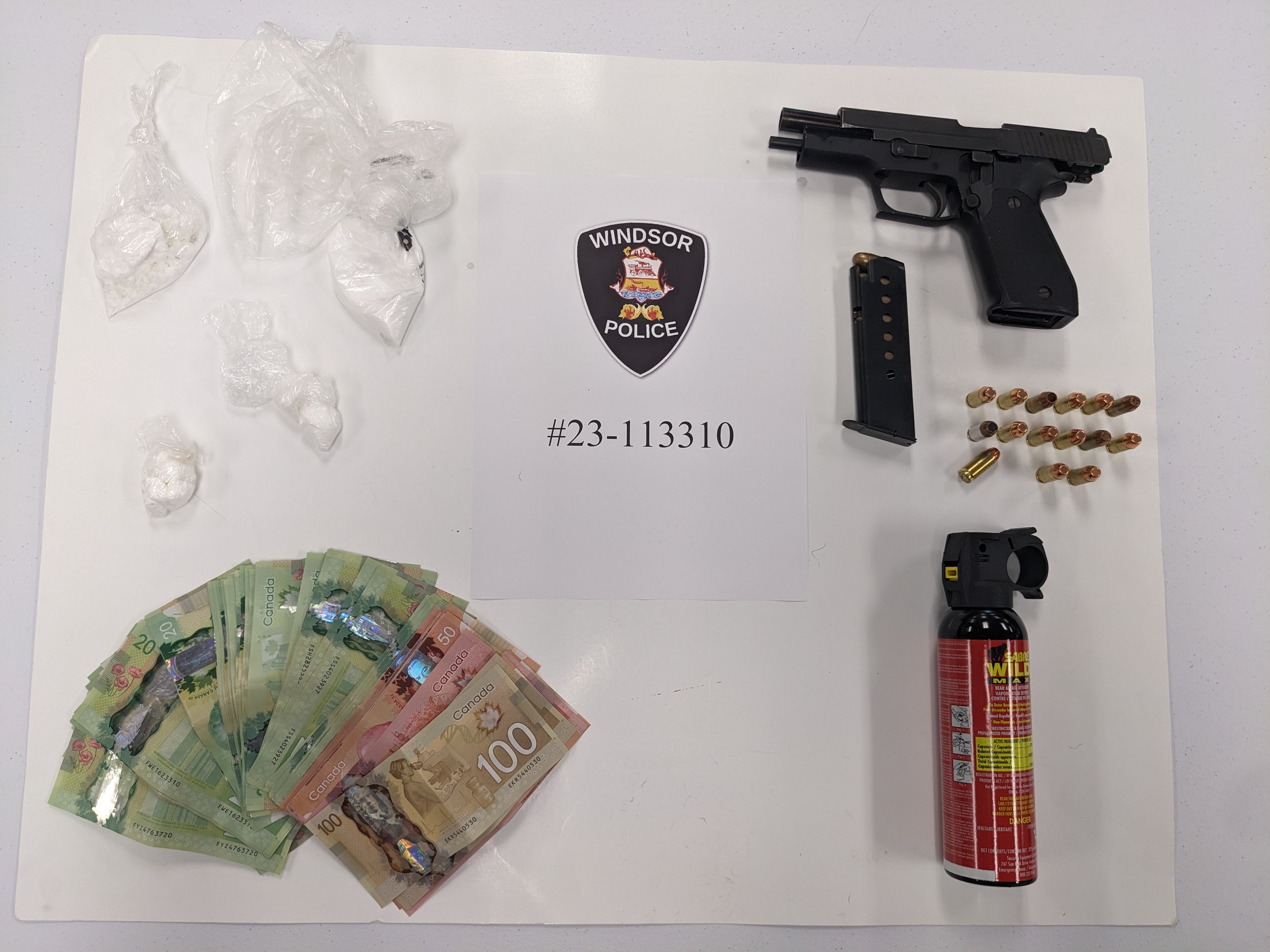 picutre of suspect 2